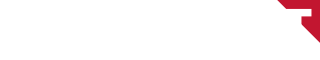 Verticales DT Logo